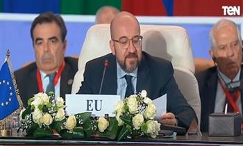 رئيس المجلس الأوروبي: يجب تضافر جهود المجتمع الدولي لإرساء السلام في المنطقة العربية