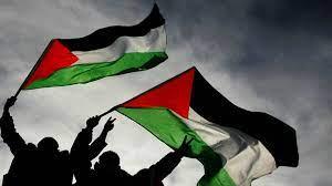 أستاذ قانون دولي: حصار فلسطين يعرف بالعقاب الجماعي