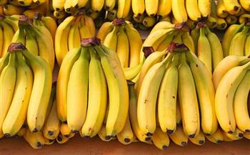 الموز الأكثر انتشارا في العالم على حافة الانقراض وعلماء يحددون السبب