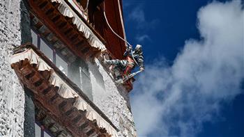 رصد 3 من فهود الثلج في التبت الصينية 