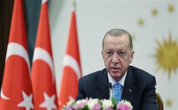 الرئيس التركي لنظيره الروسي: صمت المجتمع الدولي يزيد الصراع بين فلسطين وإسرائيل 
