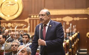 إيهاب وهبة: خطاب مصر بمجلس الأمن يؤكد قدرتها على حفظ السلام ووقف العدوان