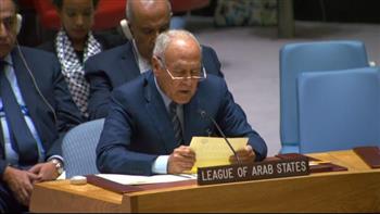 أبو الغيط يعرب عن أسفه لإخفاق مجلس الأمن في التوصل لقرار حول غزة