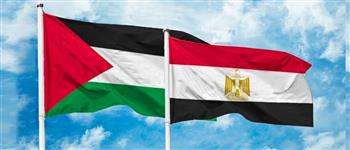مساعدات إنسانية ومحاولات لاحتواء التصعيد.. أبرز جهود مصر لدعم الأشقاء في غزة