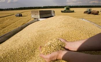 أوكرانيا: تصدير أكثر من 8.7 مليون طن من الحبوب والمحاصيل البقولية‎