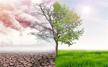 «وام» تعلن ركائز «COP27» لدعم مسيرة المناخ.. أبرزها: الخسائر والأضرار 