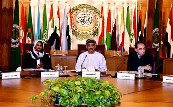 انتخاب 3 أعضاء جدد في لجنة حقوق الإنسان العربية 