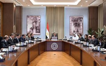 رئيس الوزراء يلتقي وزير الاستثمار بالإمارات العربية المتحدة لبحث فرص الاستثمار 