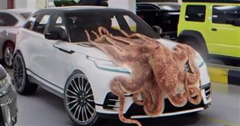 أخطبوط يقتحم مرآب سيارات في قطر ويلتف حول سيارة.. ما سرّه؟ (فيديو)