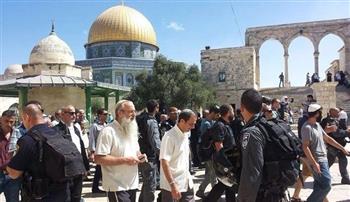 مستوطنون إسرائيليون يؤدون طقوسًا تلمودية «استفزازية» جنوب الخليل