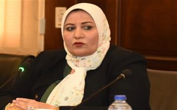 غادة الضبع عن بيان البرلمان الأوروبي: «استمرار لحالة الترصد للدولة المصرية»