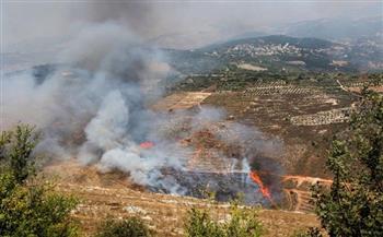 «الوطنية للإعلام»: تجدد القصف الإسرائيلي على أطراف بلدة كفرشوبا جنوب لبنان