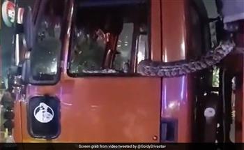 ضيف ثقيل.. القبض على ثعبان يلتف داخل  شاحنة هندية| فيديو 