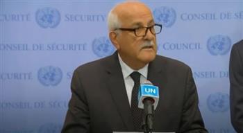مندوب فلسطين بالأمم المتحدة: إسرائيل تعتدي دائما على غزة بدعوى تدمير حماس
