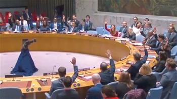 العقوبات والأوضاع في اليمن وتنفيذ اتفاق الحديدة أمام مجلس الأمن الدولي.. الجمعة