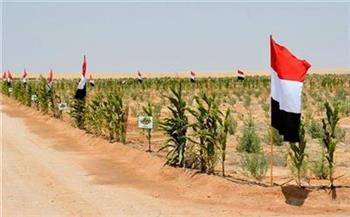 خطة تنمية شمال سيناء.. مشروعات زراعية وصناعية وعمرانية مستهدفة حتى 2030