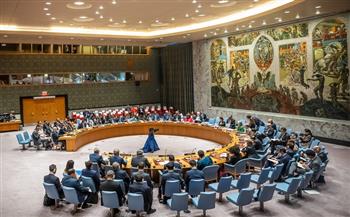 مندوبة مالطا: مجلس الأمن الدولي يقترب من تبني قرار بشأن التصعيد الفلسطيني الإسرائيلي