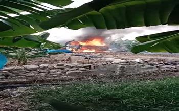 مزارعو الموز في لبنان ينفون قصف إسرائيل أهدافا عسكرية: «يستهدفون المواطنين وأرزاقهم»