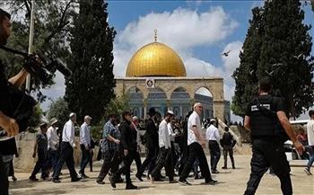 مُستوطنون يقتحمون المسجد الأقصى بحماية شرطة الاحتلال الإسرائيلي