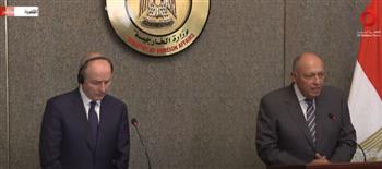 وزير الخارجية: العلاقات المصرية الإيرلندية مبنية على الصداقة والاهتمام المتبادل
