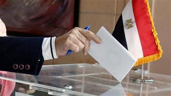 الجدول الزمني للانتخابات الرئاسية.. متى يبدأ تصويت المصريين في الداخل والخارج؟