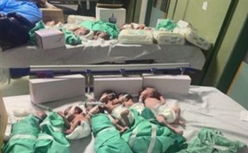 الرئيس السيسي يوجه الجهات المعنية باستقبال الأطفال حديثي الولادة من قطاع غزة