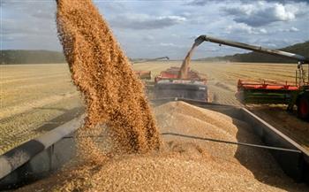 روسيا ترسل أولى شحناتها المجانية من الحبوب إلى إفريقيا