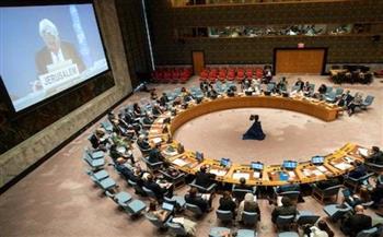 الإمارات ومالطا تطلبان جلسة لمجلس الأمن بشأن فلسطين