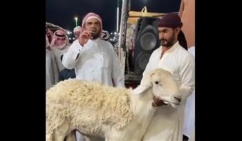 السعودية .. بيع خروف بـ 400 ألف ريال في مزاد علني (فيديو)