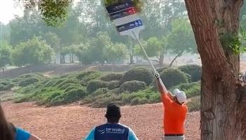 خناقة مع الشجرة.. لاعب جولف شهير يقع في ورطة بسبب مضاربة (فيديو)