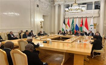 شكري: مصر صاغت مشروع قرار لطرحه أمام مجلس الأمن لمعالجة خلل دخول المساعدات لغزة