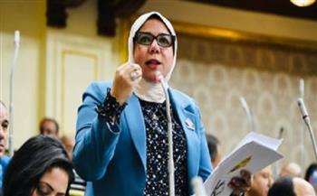 عضو بـ«النواب»: الموقف المصري واضح برفض حاسم لمخططات تهجير الفلسطينيين