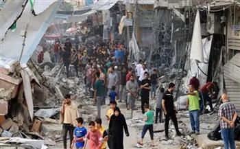 برلماني تشيكي: العدوان الإسرائيلي على غزة إبادة جماعية