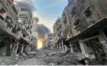 فايز فرحات: محاولات مصرية لتحويل الهدنة في غزة إلى «دائمة»