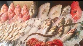استقرار أسعار السمك في سوق العبور اليوم
