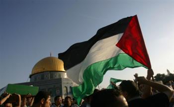 في ذكرى "تقسيم فلسطين" و"يوم التضامن".. دبلوماسيون يدعون العالم للاعتراف بالدولة الفلسطينية المستقلة 