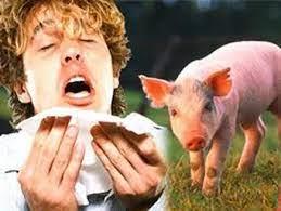  بعد ظهور إصابة بها في بريطانيا.. ما هي إنفلونزا الخنازير وكيفية الوقاية منها؟
