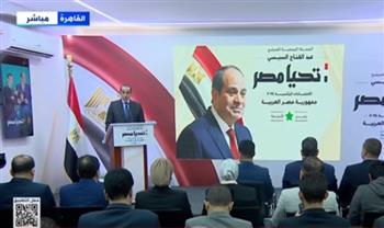 حملة المرشح عبد الفتاح السيسي تؤكد أنها أولت اهتماما كبيرًا بالمصريين في الخارج