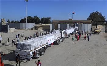 ضياء رشوان : إرسال 11972 طن مساعدات غذائية إلى قطاع غزة