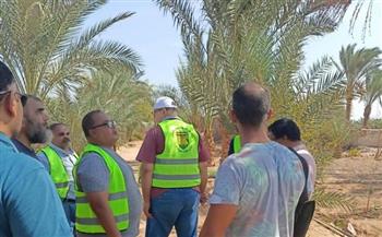 بحوث الصحراء ينظم قافلة تنموية لدعم مزارعي نويبع بجنوب سيناء
