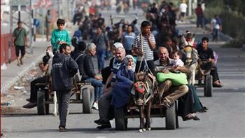 أوتشا: ارتفاع عدد النازحين في قطاع غزة إلى 1.8 مليون شخص