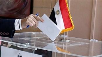 بدء تصويت المصريين بالخارج في الانتخابات الرئاسية 2024 من ويلنجتون بنيوزيلندا