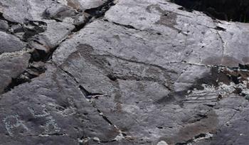 عمرها 12 ألف عام.. العثور على لوحات صخرية في جبال منغوليا