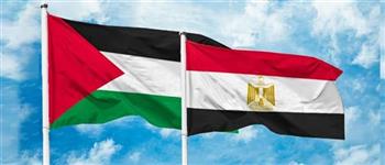 علاج الجرحى وإدخال المساعدات.. مصر تواصل دعم غزة ضد العدوان