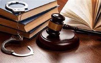 18 نوفمبر.. إعادة محاكمة 5 متهمين بـ «قضية اللجان النوعية بحلوان»