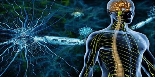 دور فعّال لهرمون الحمل في علاج مرض التصلب المتعدد