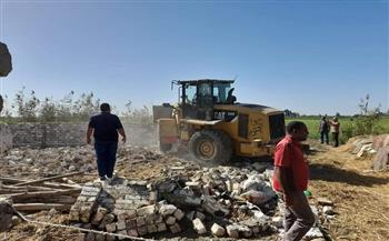 إزالة 6 حالات تعدٍ على أراضٍ زراعية في بورسعيد 