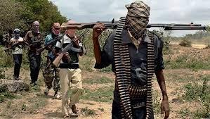 مسلحون يقتلون 11 شخصاً بحقول أرز في نيجيريا