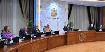 رئيس الوزراء يؤكد أهمية الجهود المبذولة لتوطين الصناعات المصرية 
