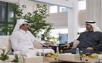 رئيس الإمارات وأمير قطر يؤكدان ضرورة الوقف الفوري لإطلاق النار في غزة 